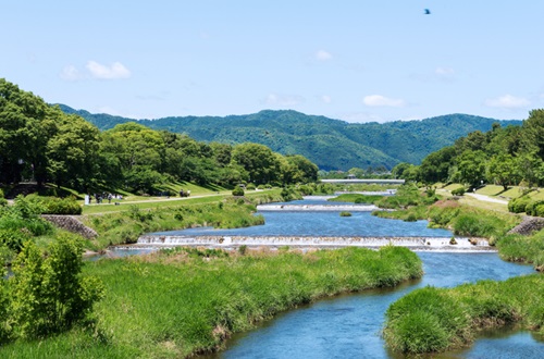 鴨川の四季